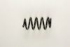 DACIA 6001550902 Coil Spring